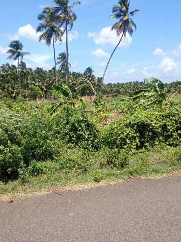 agri land for sale