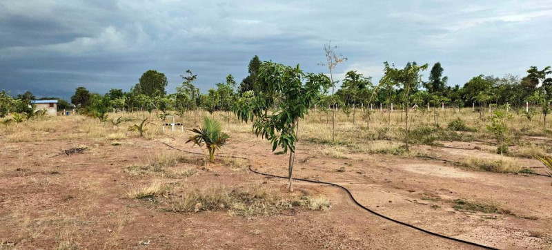 5.25 Acre Land for Sale