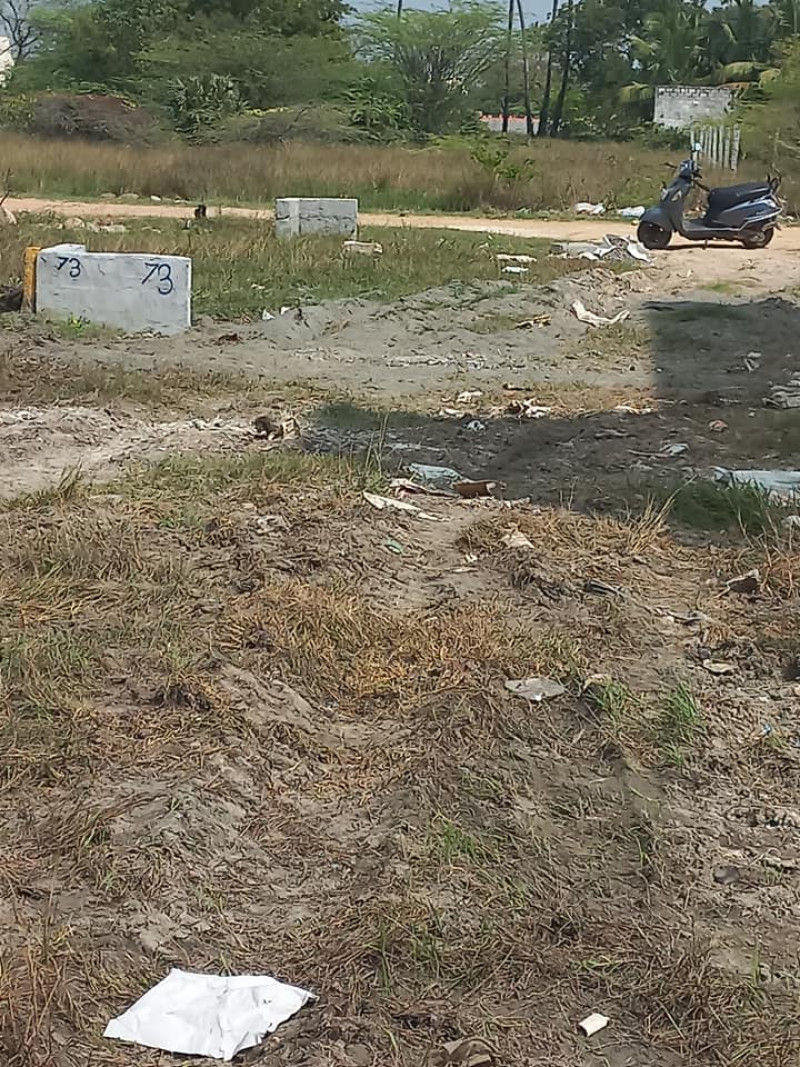 Plot for sales