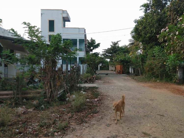 Single Property Image