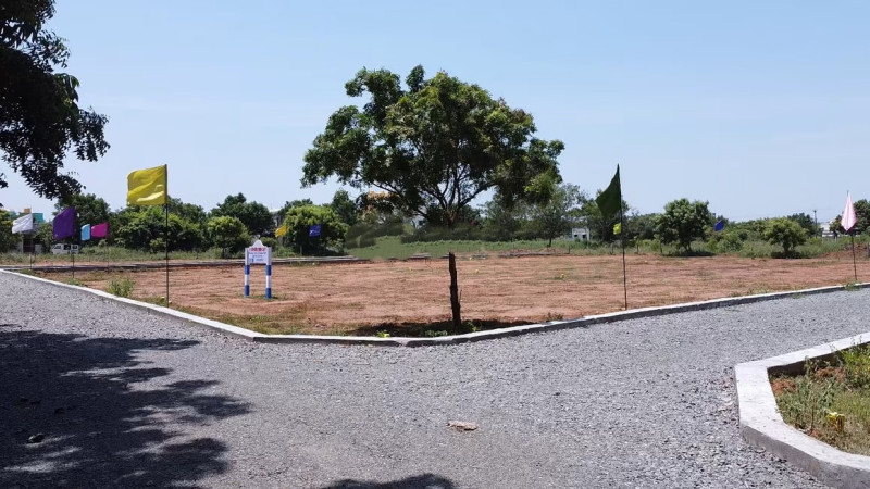 plot for sale
