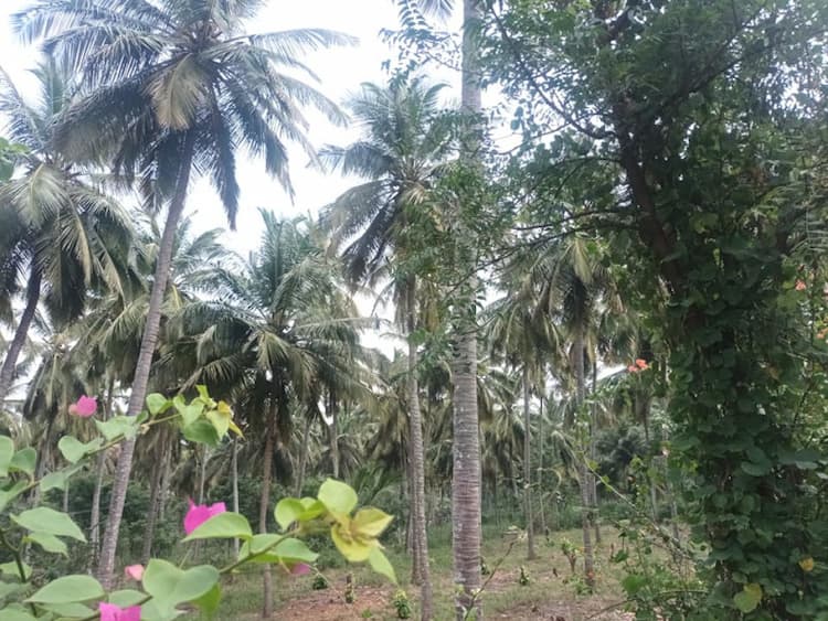 Single Property Image