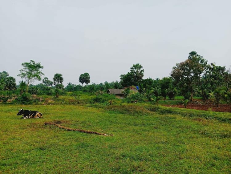 Single Property Image