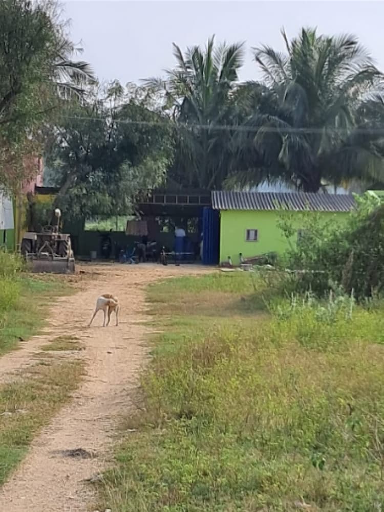 Single Property Image