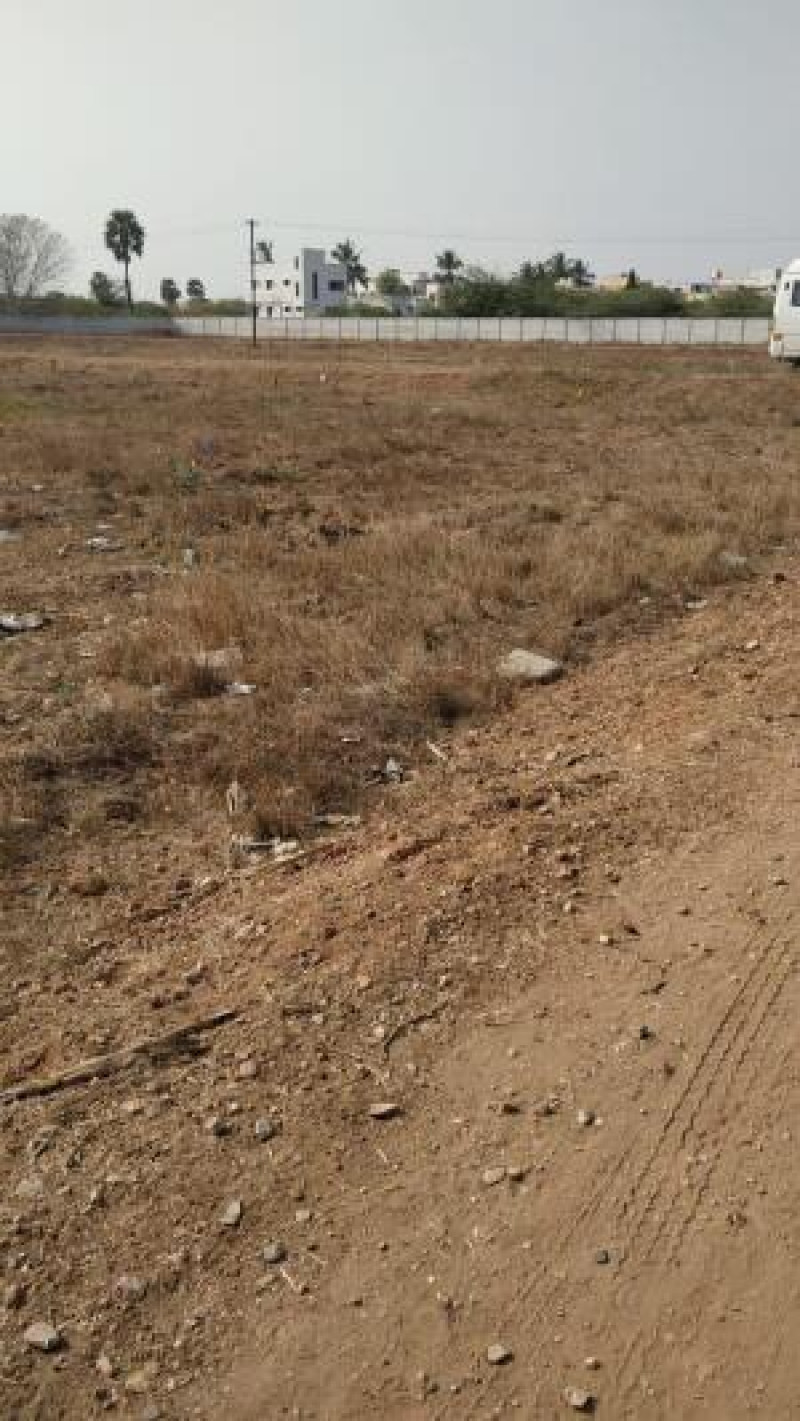 Residential Plot