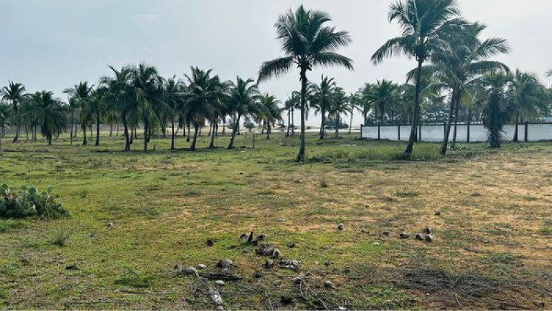 Plot sale