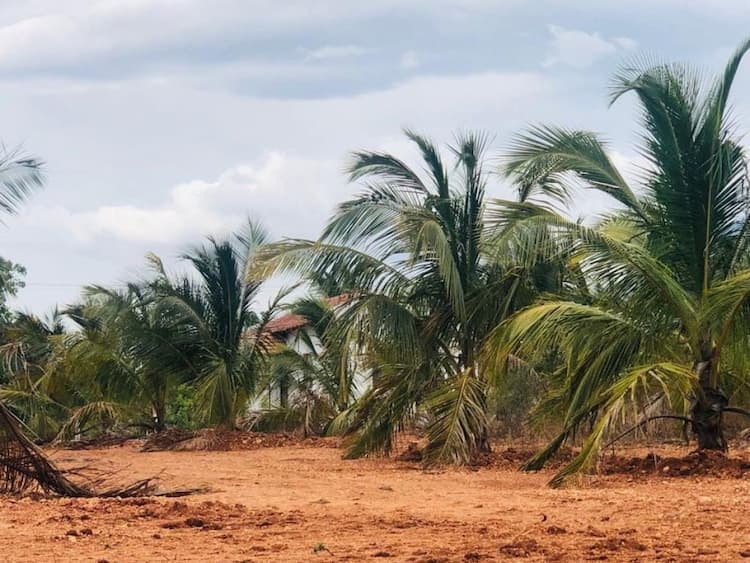 Single Property Image