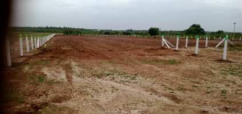 Residential Plot