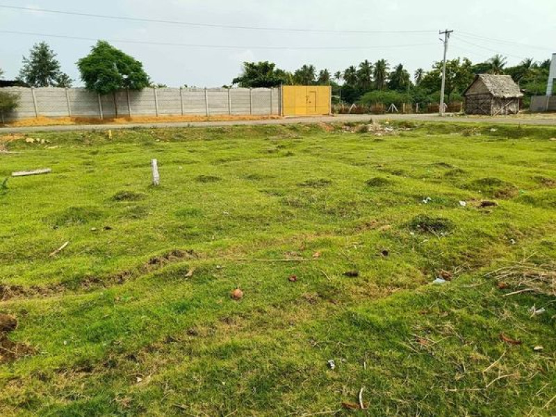 Residential Plot