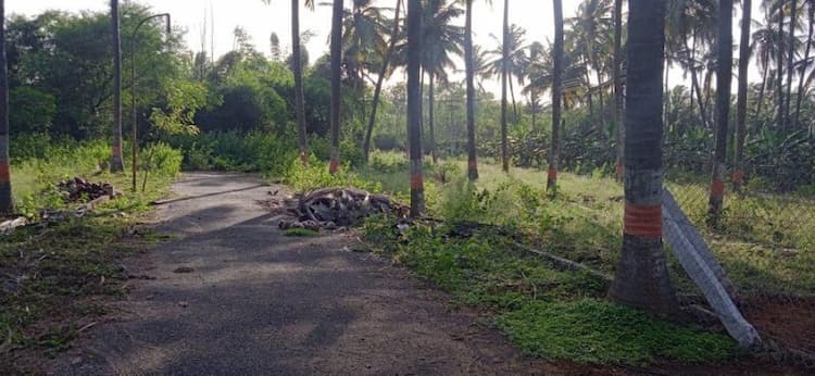 Single Property Image