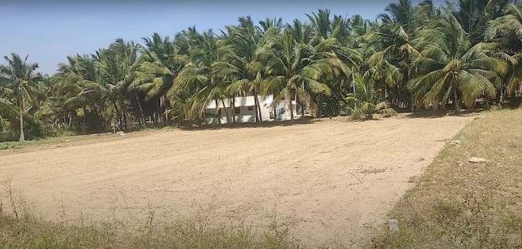 45 Cent Land for Sale