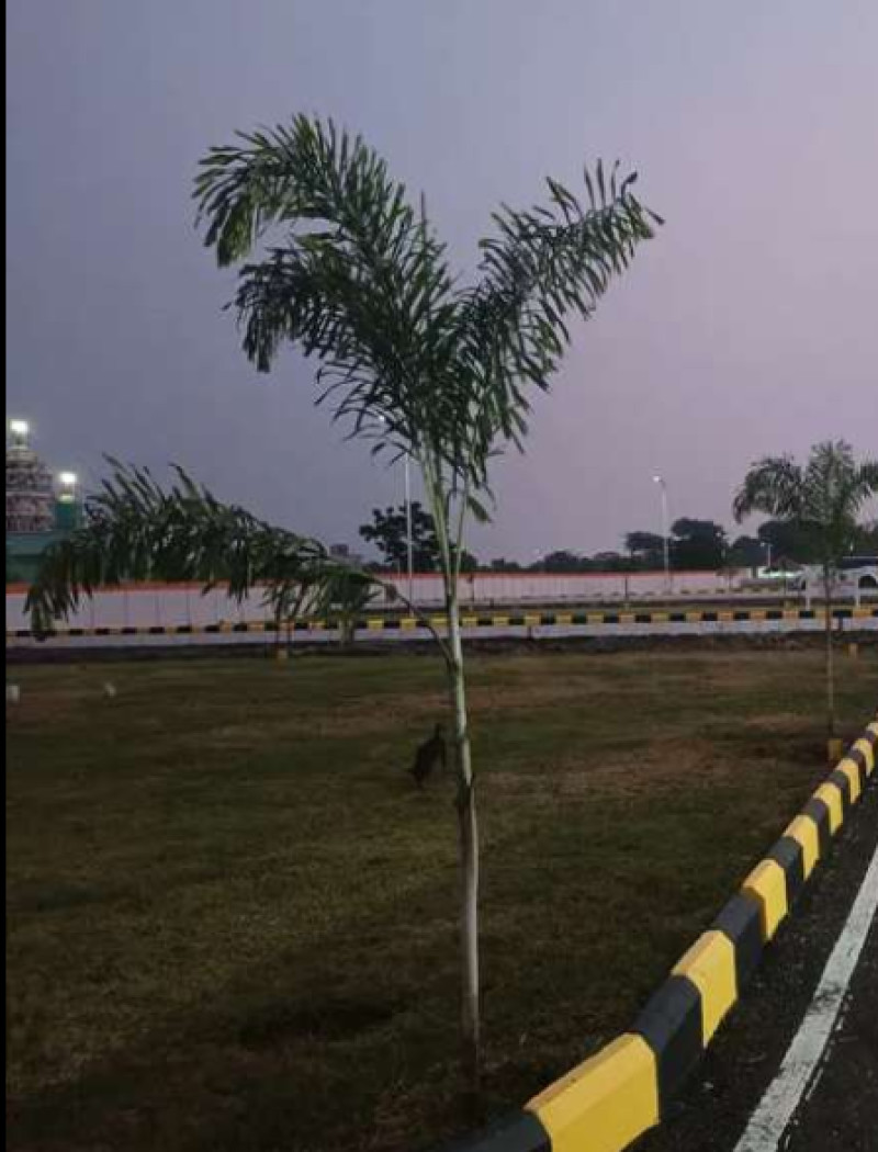 Land for sales