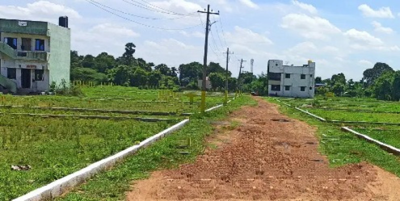 599 sqft Plot
