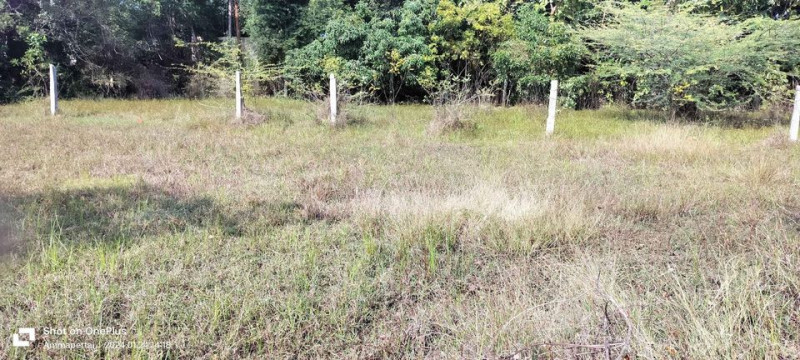 land sale