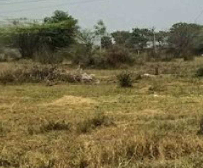 Land for sales