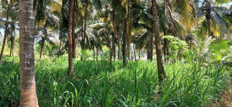 Single Property Image