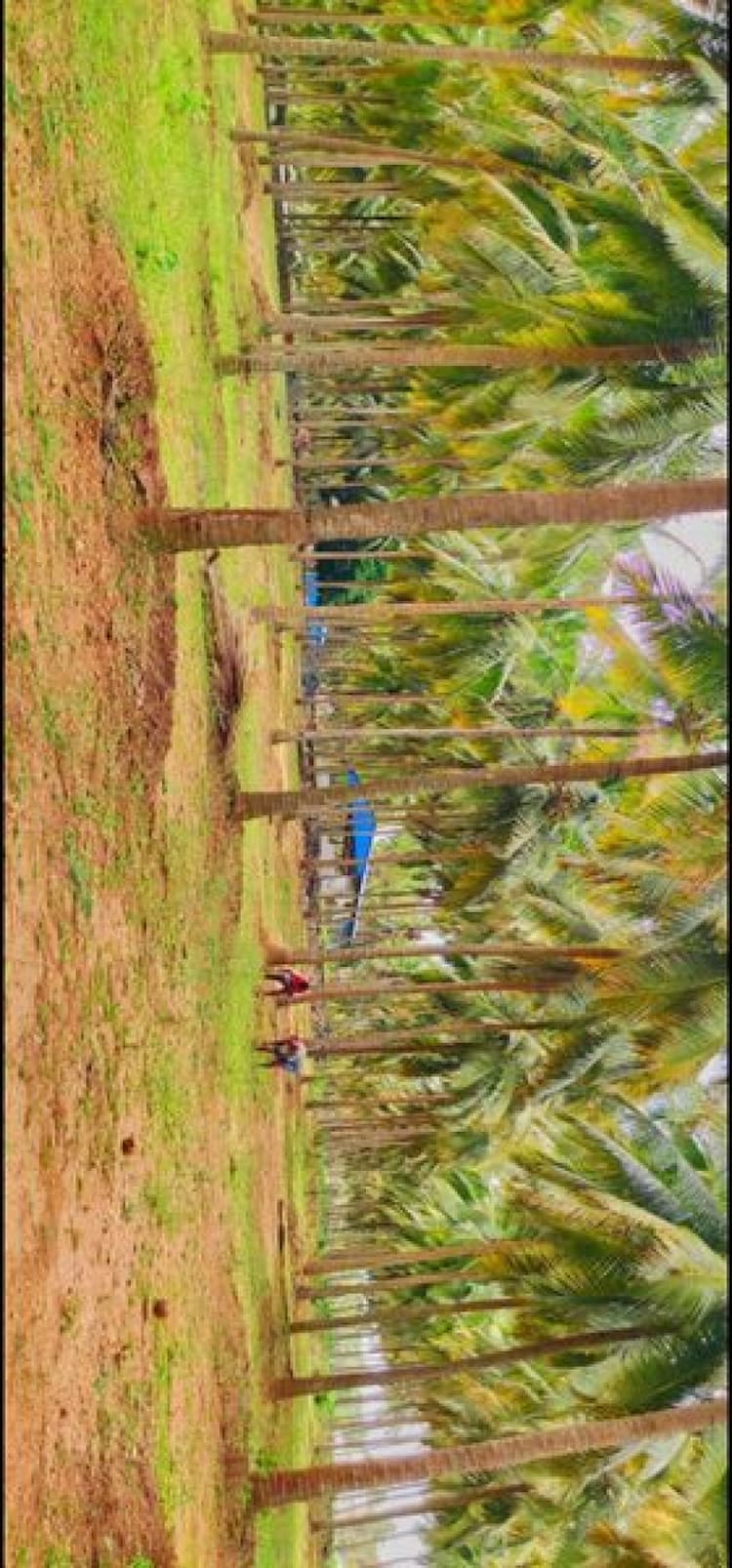 Farm Land For Sales