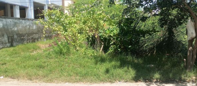 PLot sale
