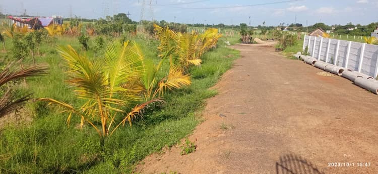 Agriculture Land for Sale