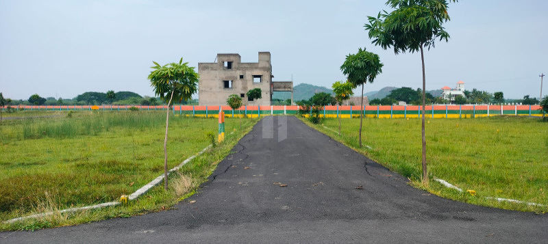Plot sale