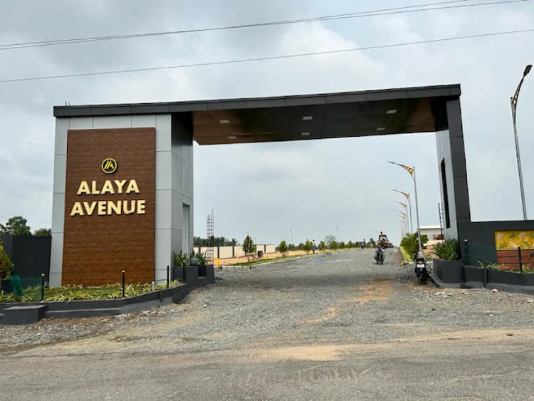 Alaya Avenue
