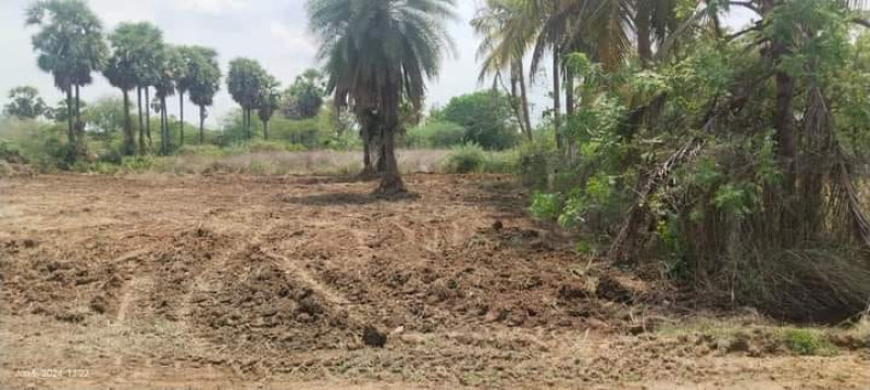 Farm land sale