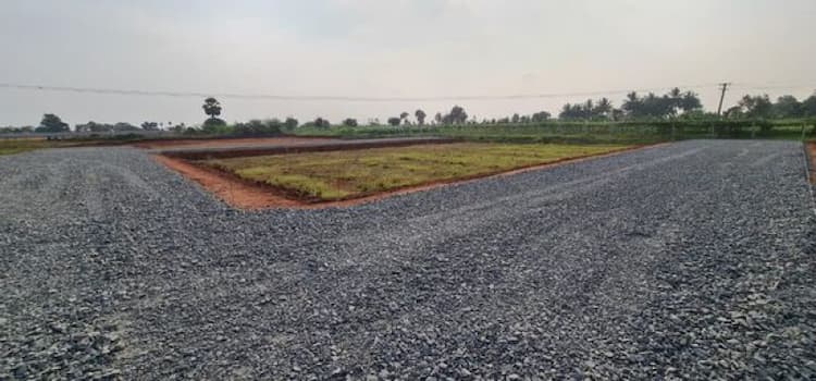 Single Property Image