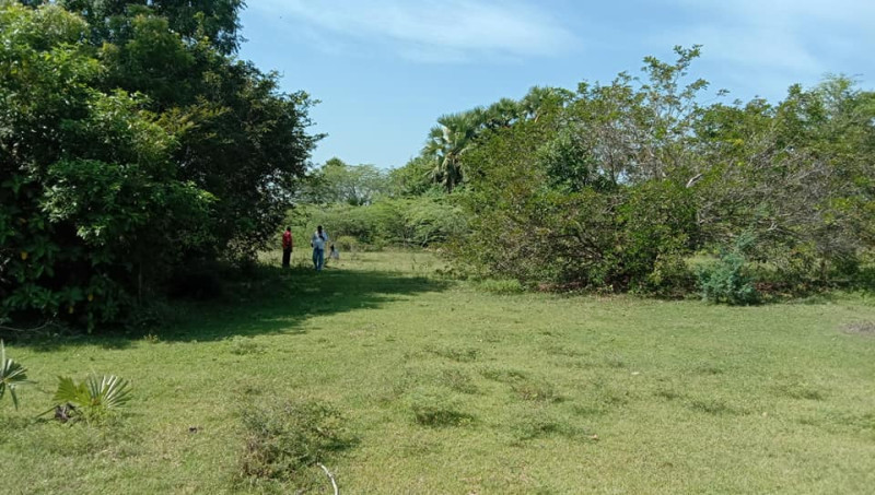 10 acres punjai land for sale