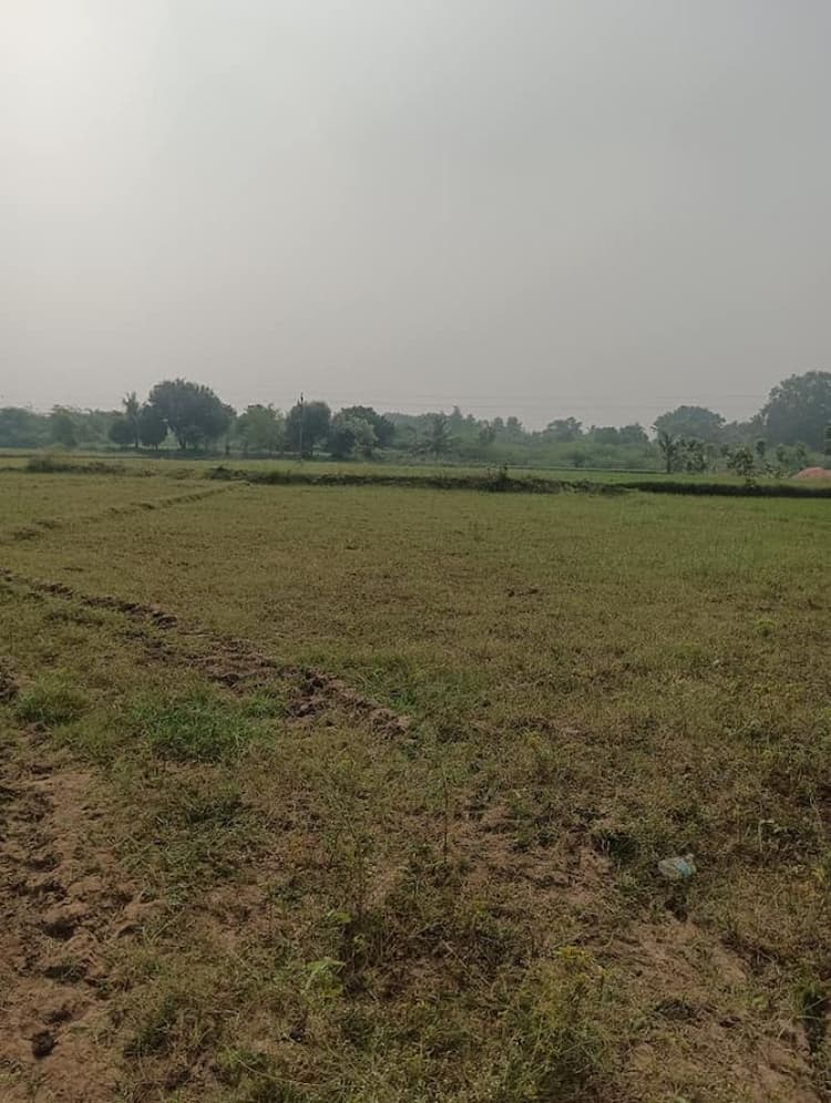 13 Acres 40 Cent Land with Free Electricity