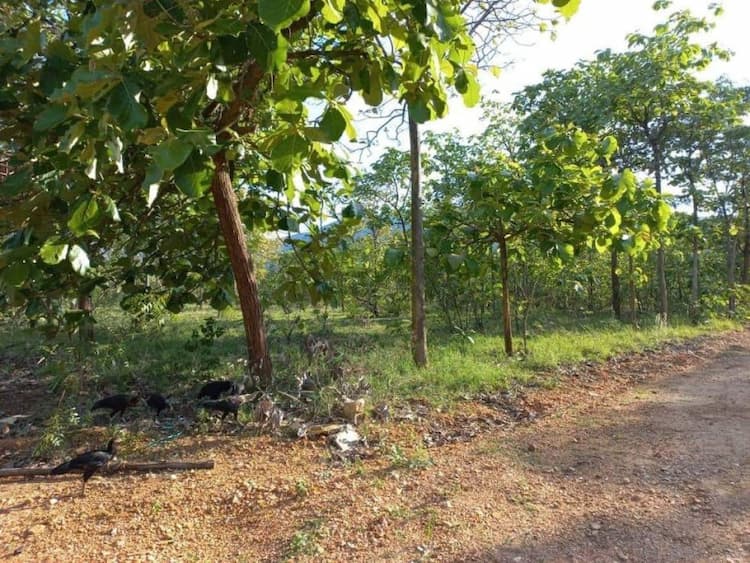 Single Property Image