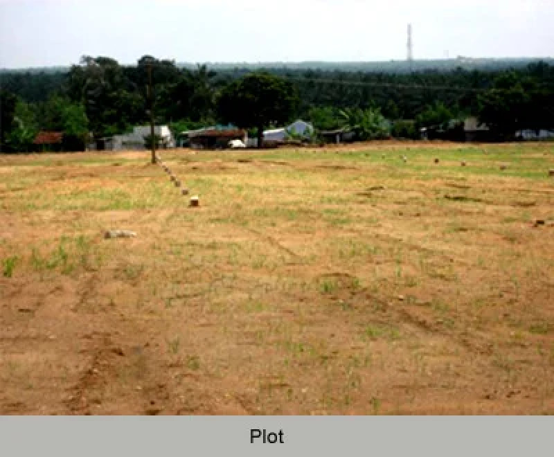 Land for Sale