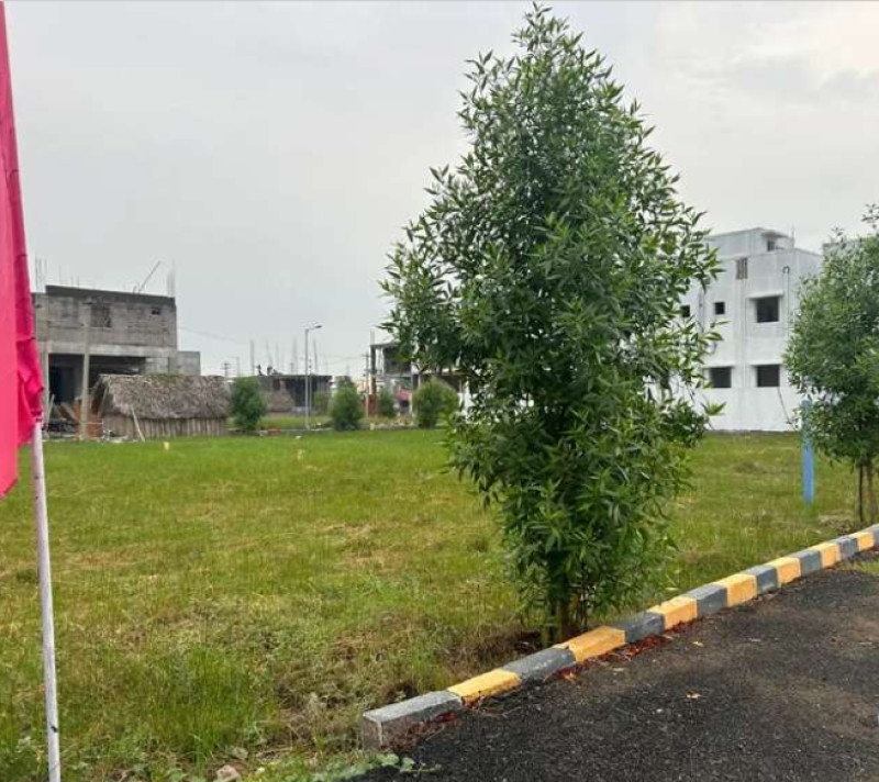 plot for sale