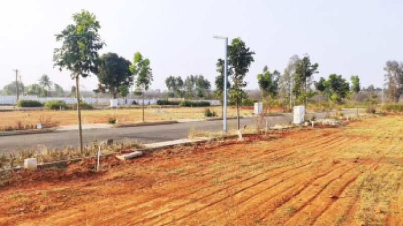 Residential plot