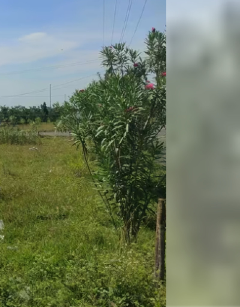plot for sale
