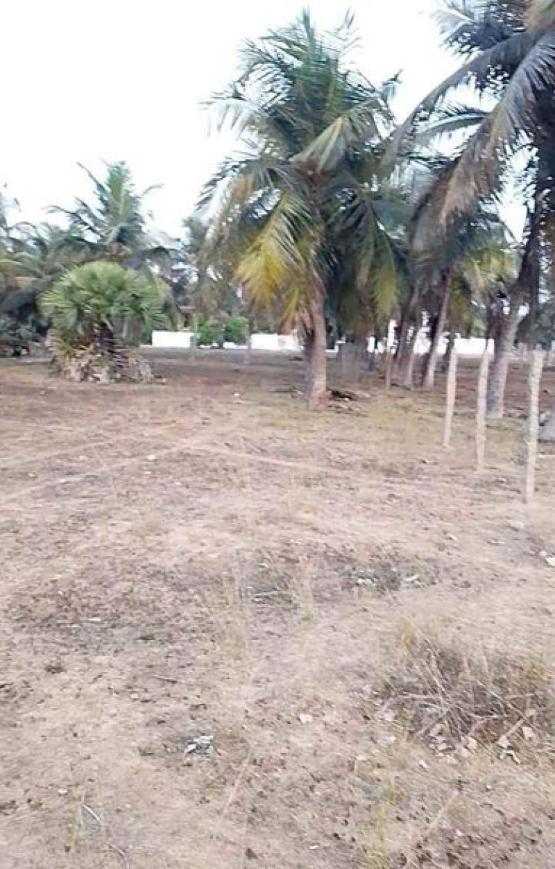 Land sale