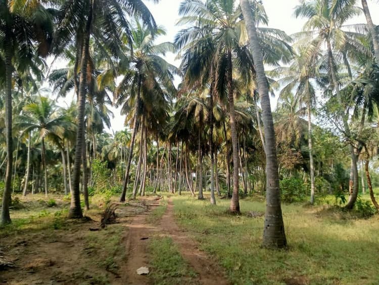 Single Property Image