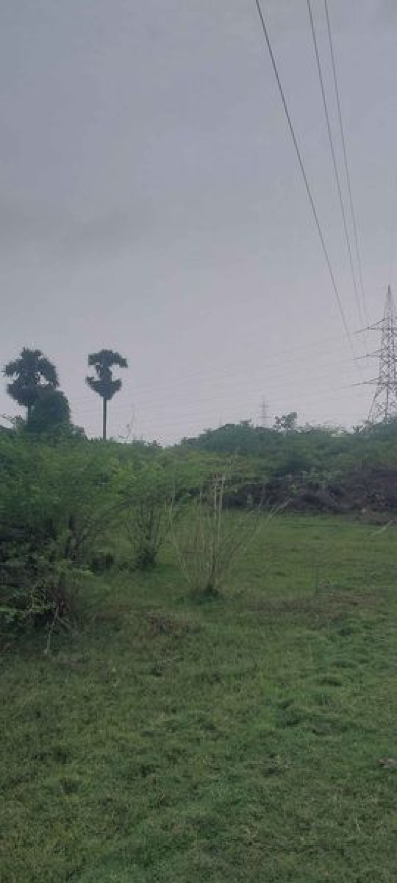 2 ACRES EMPTY LAND FOR SALE