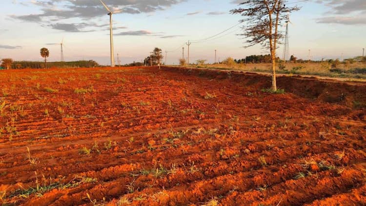 RED SOIL LAND FOR SALE