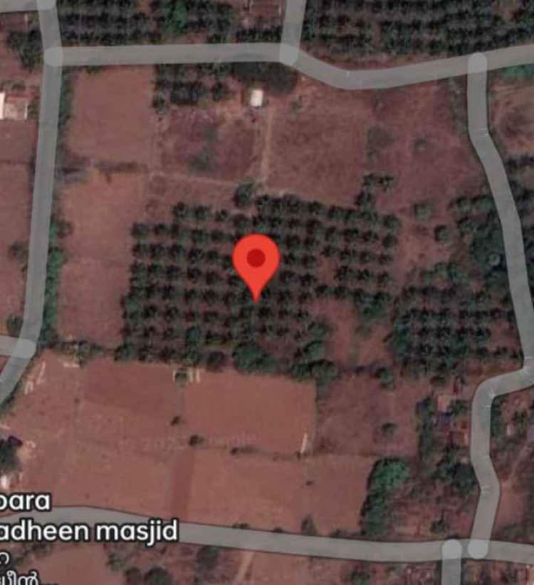 Single Property Image