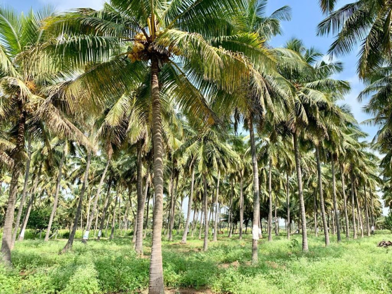 farm land for sale
