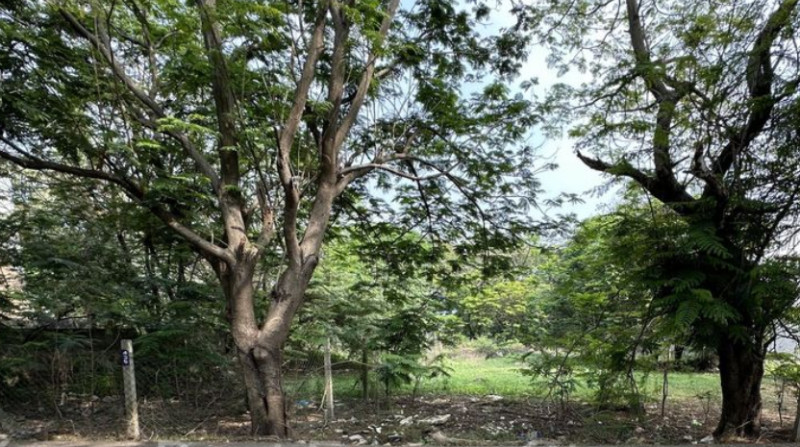 Land for sales