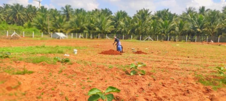 Single Property Image