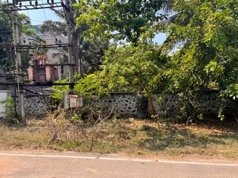 Residential Plot