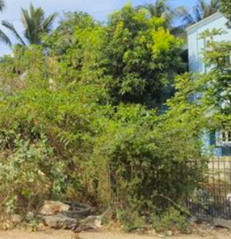 Land for sales