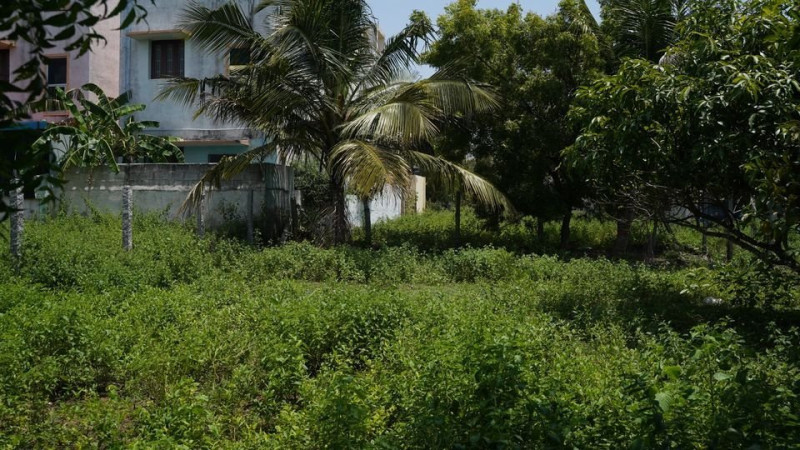 Residential and Investment property for sale in Chennai