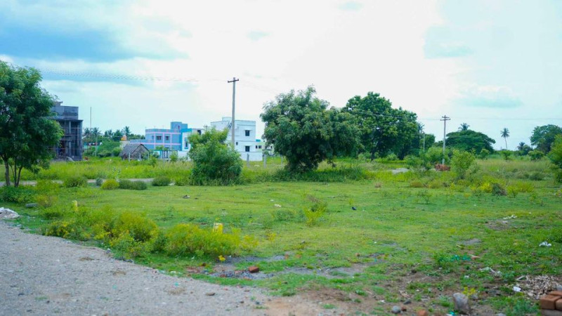 Land for sales