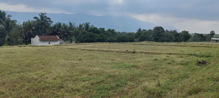 1.5 acre land for sale
