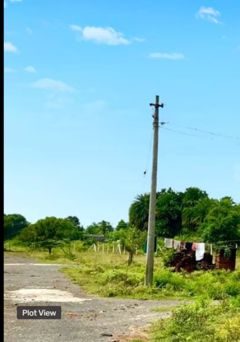 plot for sale