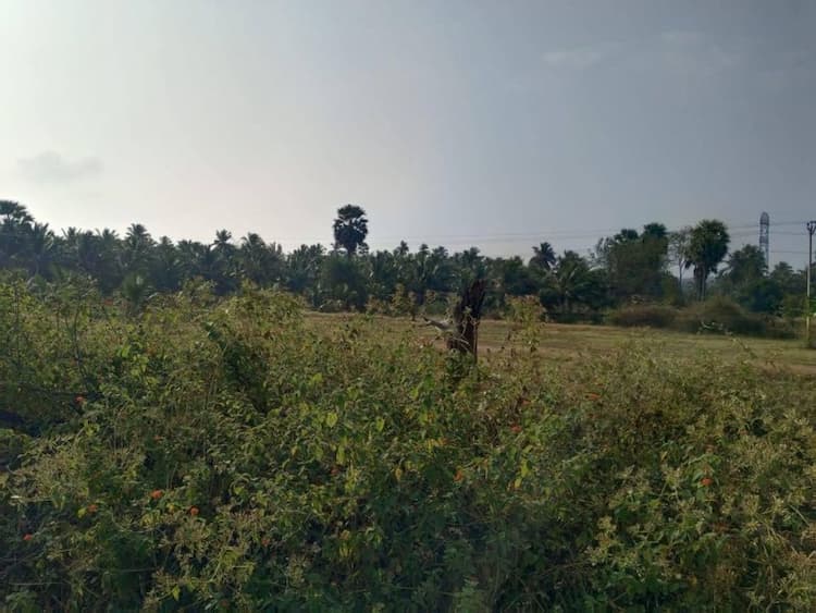 agriculture land for sale