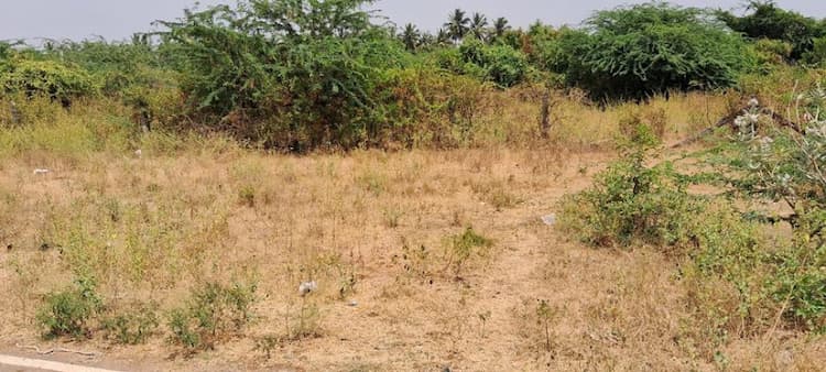 site for sale